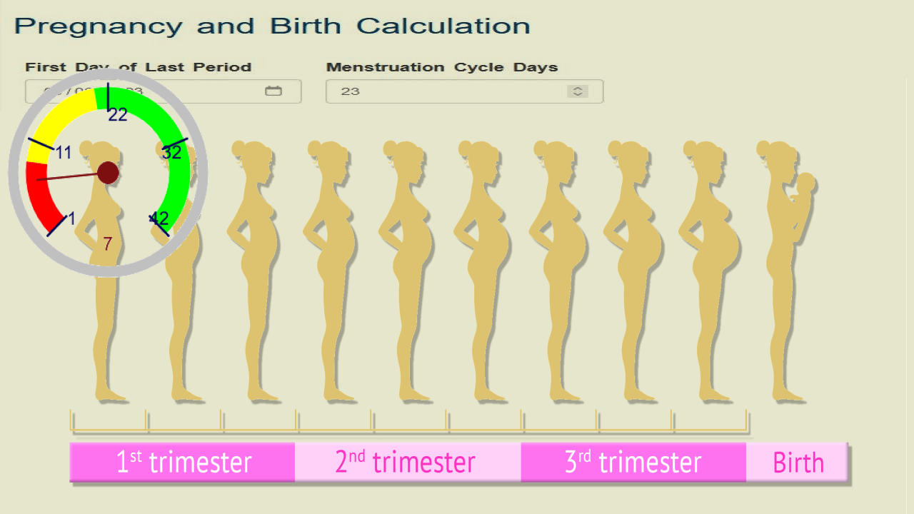 conception and due date calculator